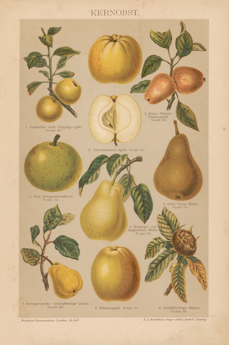 F.A. Brockhaus - Kernobst