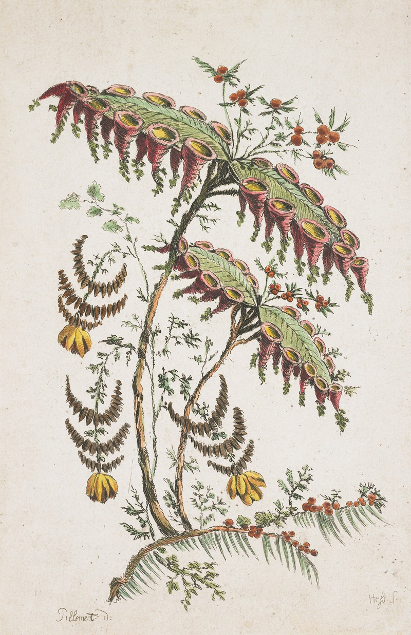 Jean-Baptiste Pillement - Flower Plate. Chinoiserie