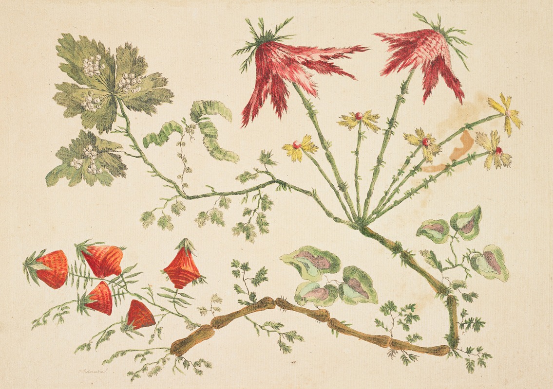 Jean-Baptiste Pillement - Ornament. Chinoiserie. Flowers