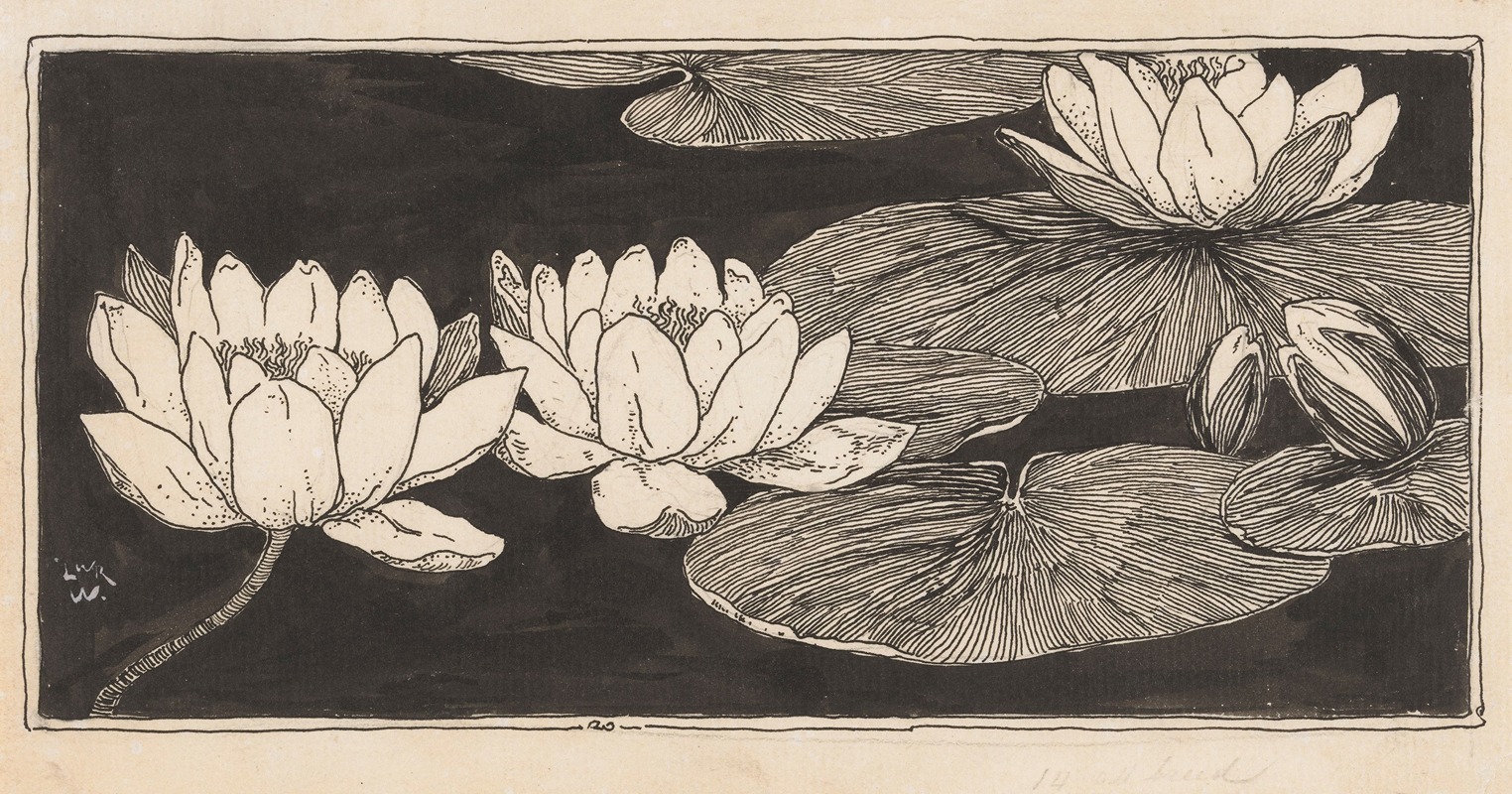 Willem Wenckebach - Waterlelies