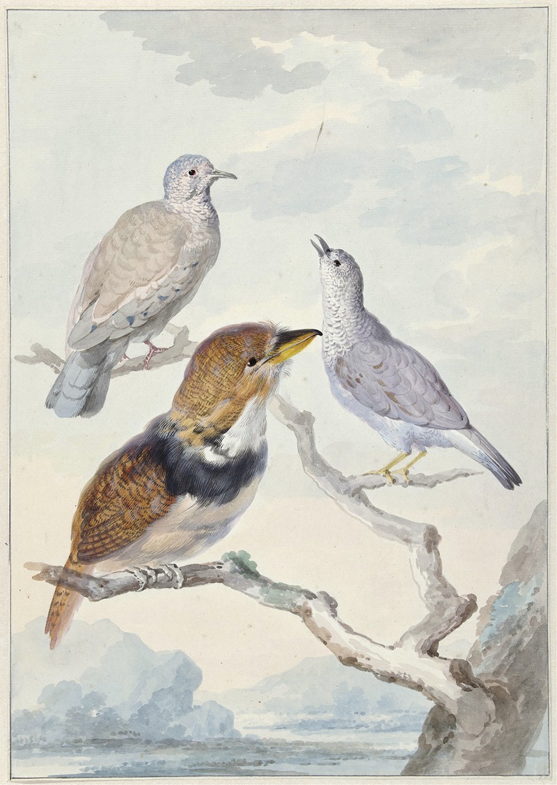 Aert Schouman - Drie vogels, twee Incaduiven en een gekraagde baardkoekoek