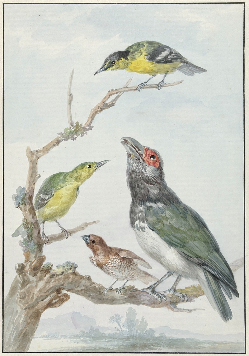 Aert Schouman - Four Different Birds on a Branch