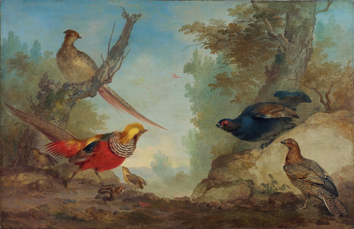 Aert Schouman - Pheasants