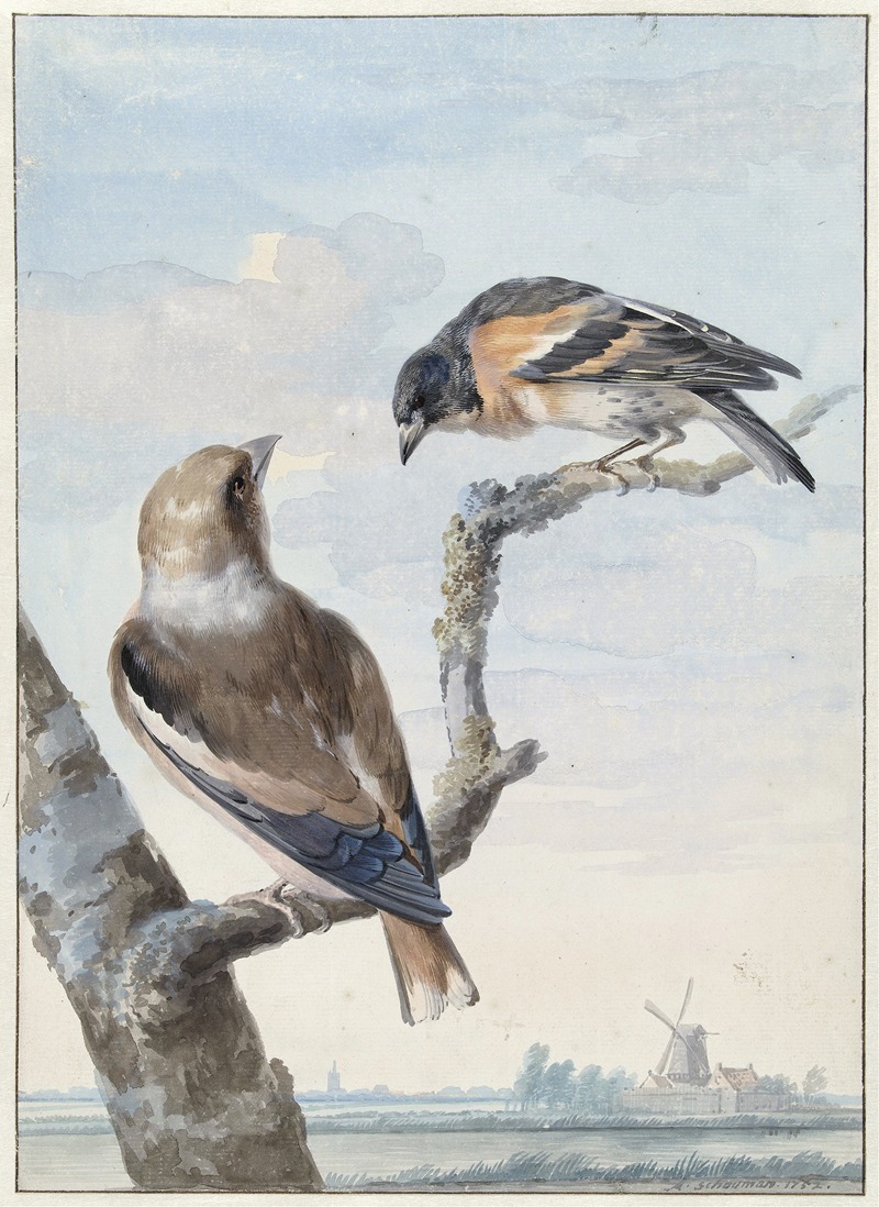 Aert Schouman - Twee vogels; een appelvink (Coccothraustes coccothraustes) en een keep (Fringilla montifringilla)