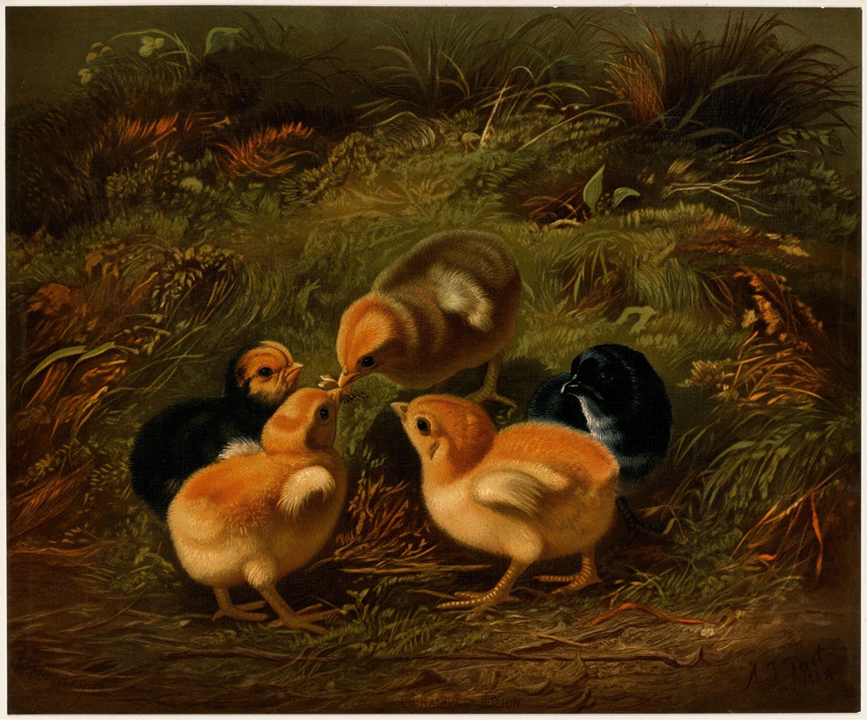 Arthur Fitzwilliam Tait - Chickens