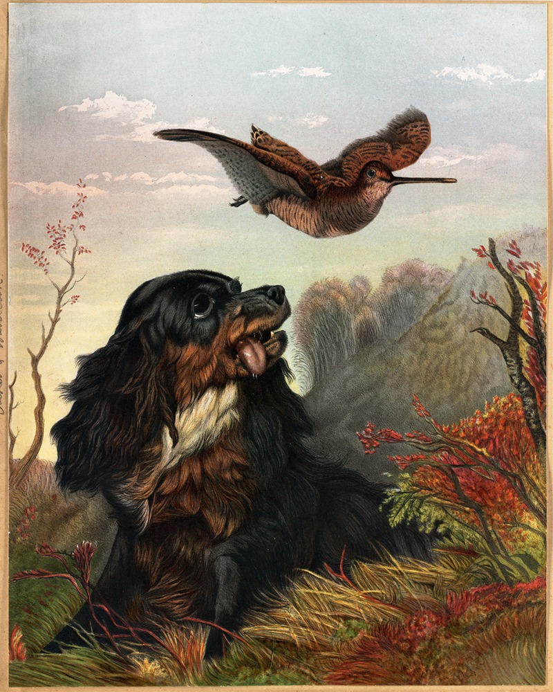 Arthur Fitzwilliam Tait - Cocker and Woodcock
