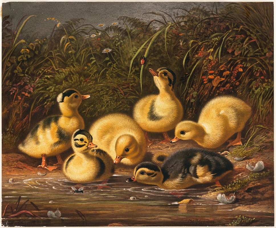 Arthur Fitzwilliam Tait - Group of Ducklings