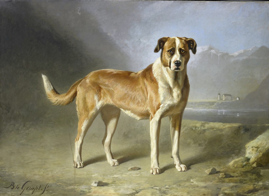 Bernard te Gempt - St Bernard Dog