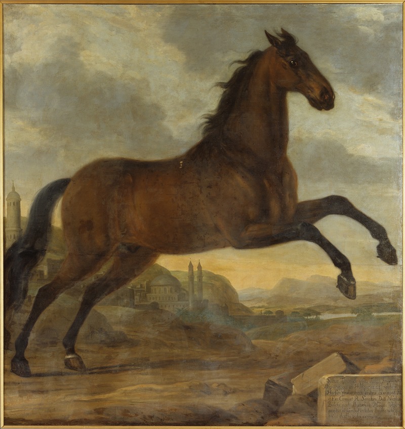 David Klöcker Ehrenstrahl - Karl XIs livhäst Sultan