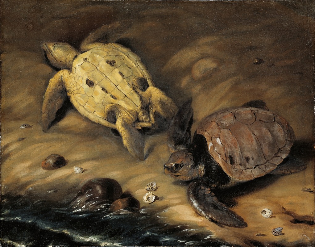 David Klöcker Ehrenstrahl - Två sköldpaddor