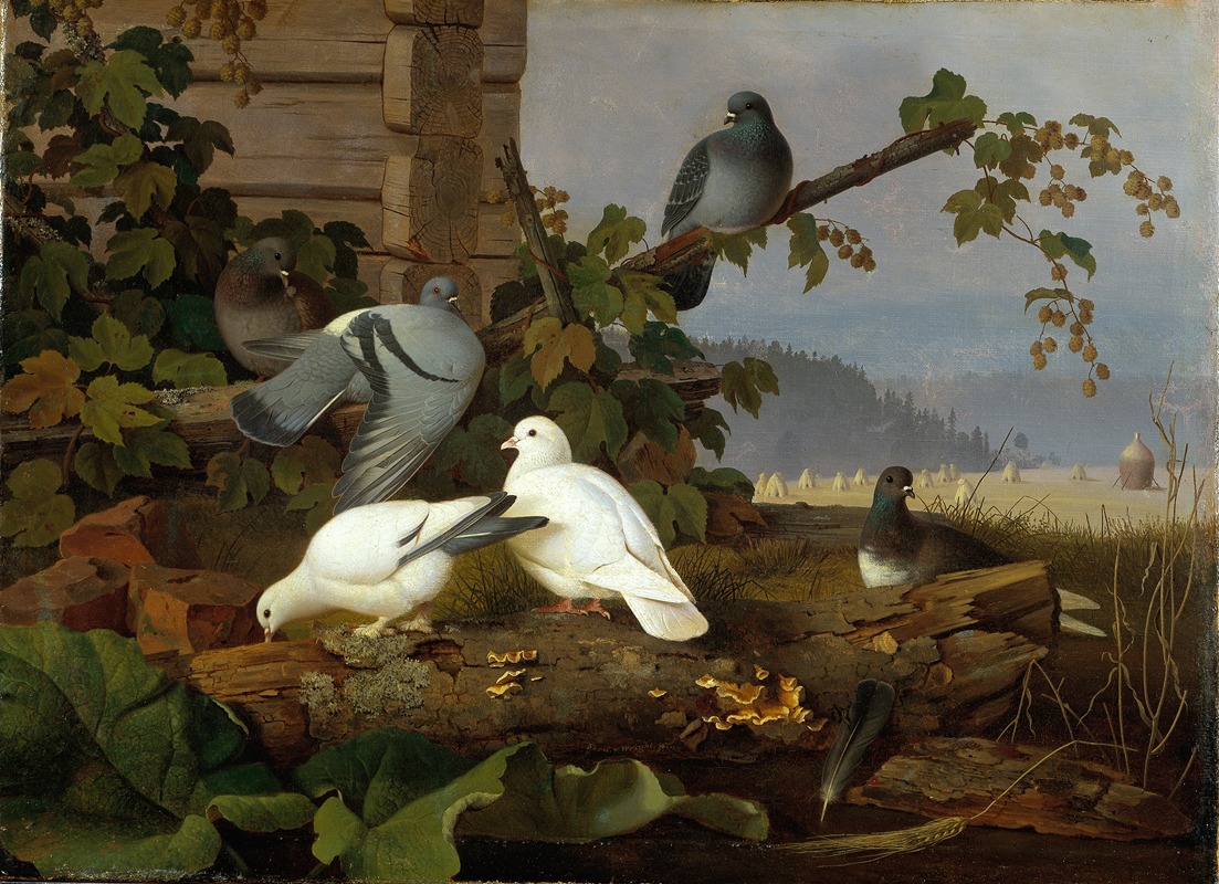 Ferdinand von Wright - Pigeons