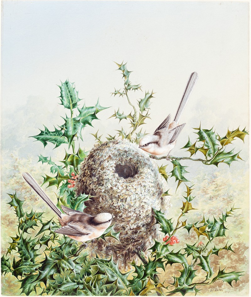Harry Bright - Coral Buntings and Their Nest in a Holly Tree