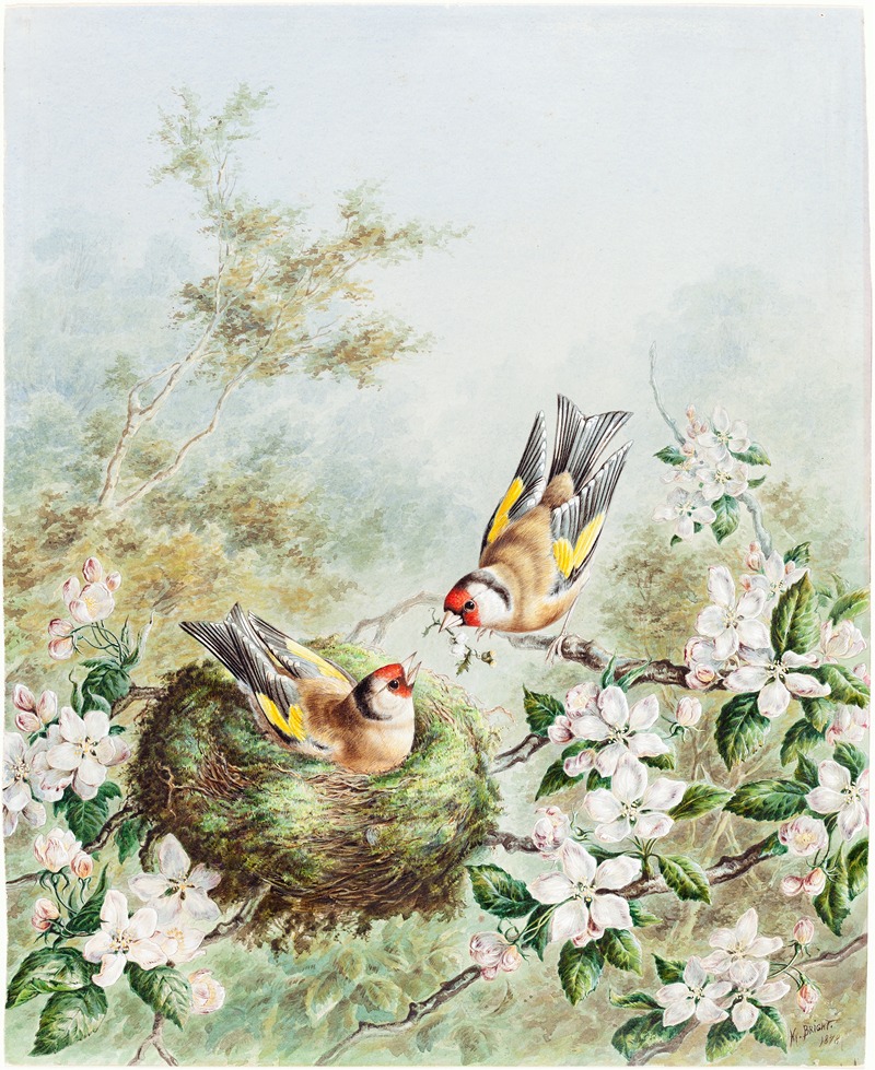 Harry Bright - Gold Finches and Their Nest in an Apple Tree
