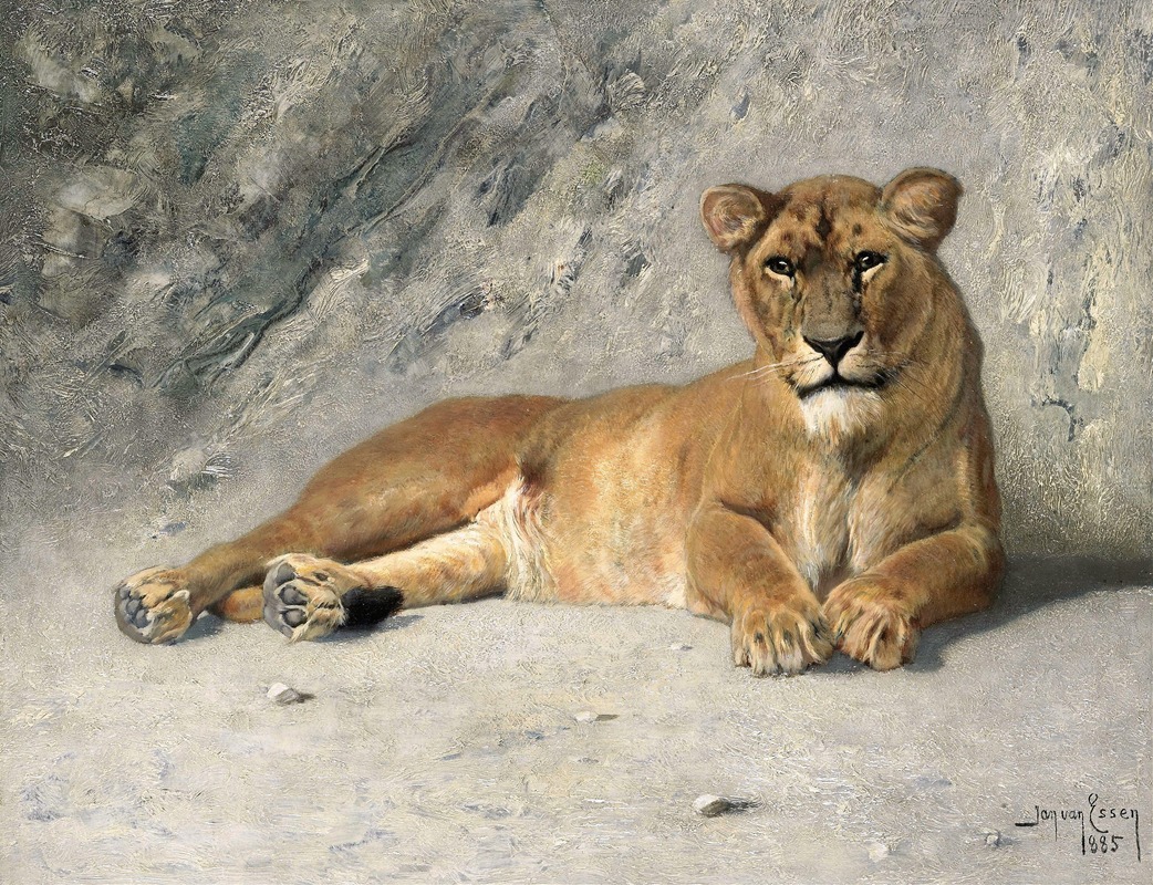 Jan van Essen - Lioness Resting