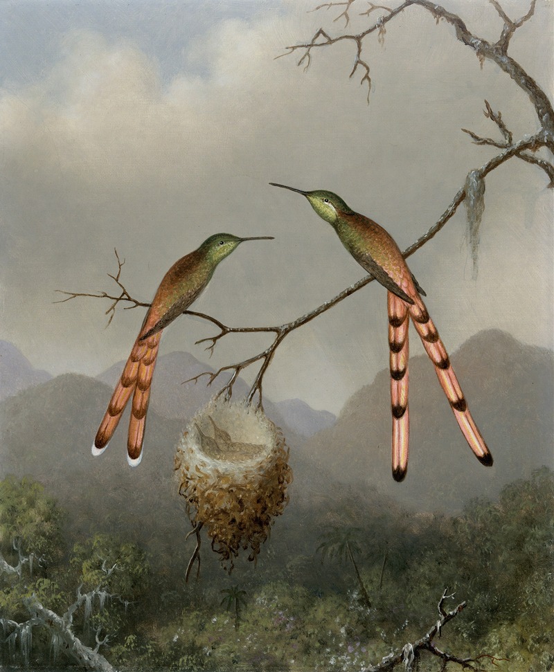 Martin Johnson Heade - Two Hummingbirds with Their Young