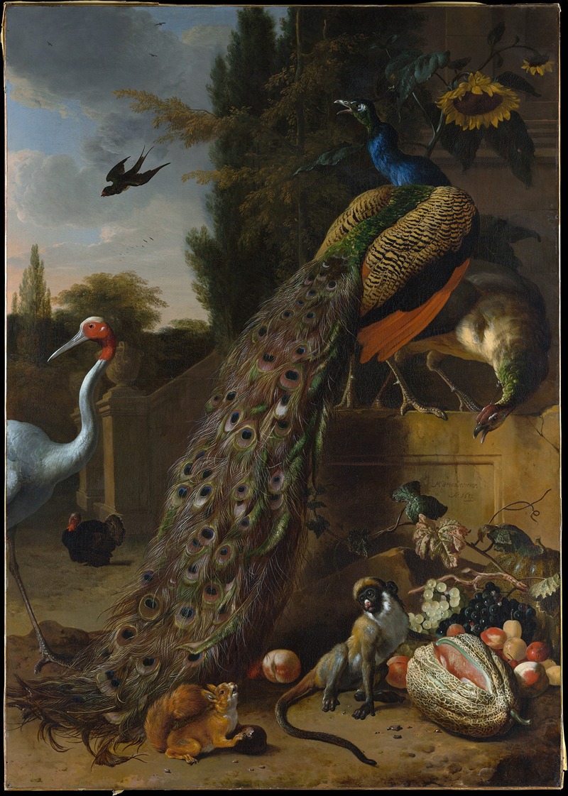 Melchior d'Hondecoeter - Peacocks