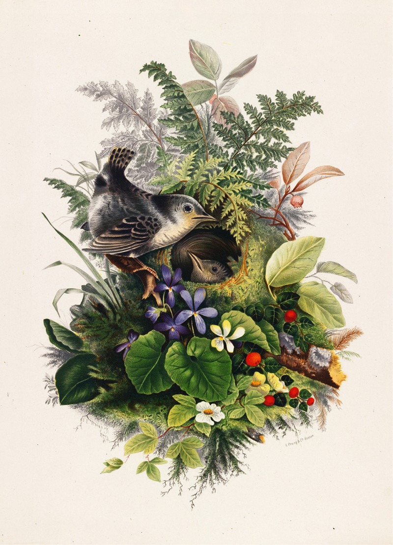 Olive E Whitney - Birds