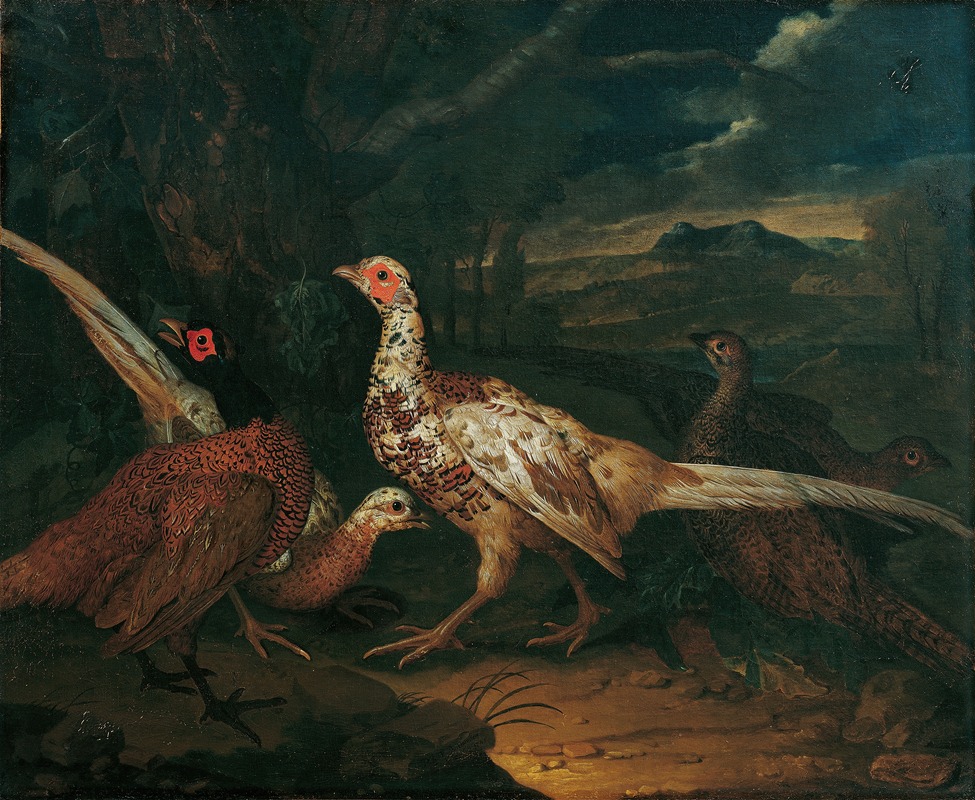 Philipp Ferdinand de Hamilton - Pheasants