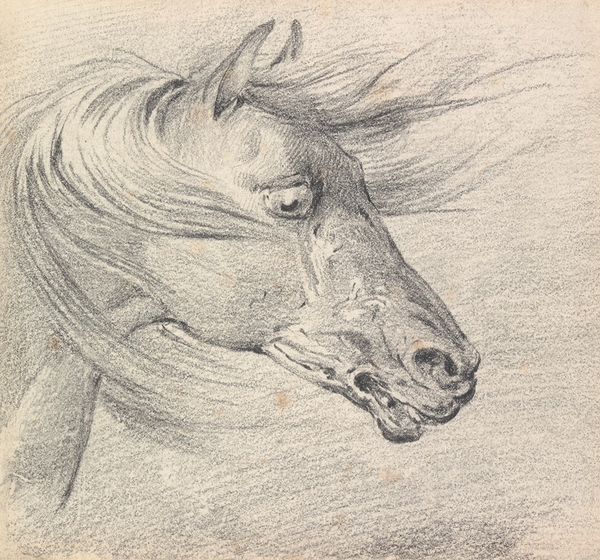 Henry Thomas Alken - Head and Neck of a Horse in Fear or Exhaustion, Mane Swept Forwards, Profile Right