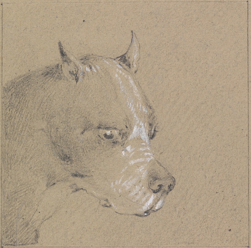 Henry Thomas Alken - Head and Shoulders of a Boxer Dog, Profile Right