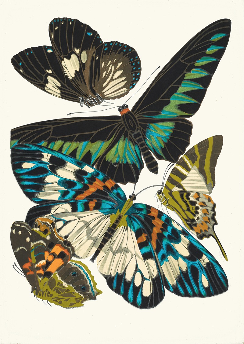 Emile-Allain Séguy - Papillons, Pl. 10