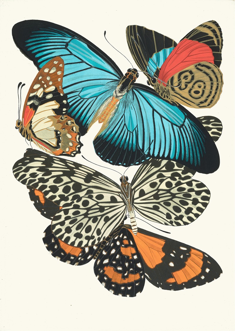 Emile-Allain Séguy - Papillons, Pl. 11