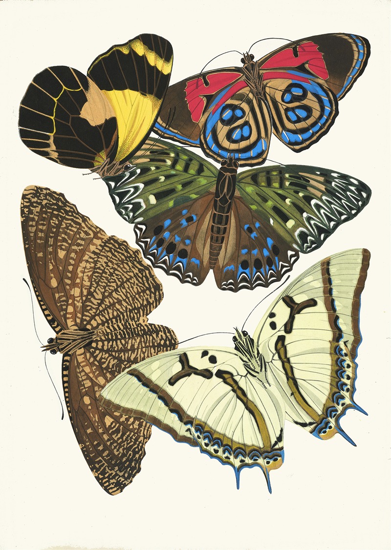 Emile-Allain Séguy - Papillons, Pl. 12