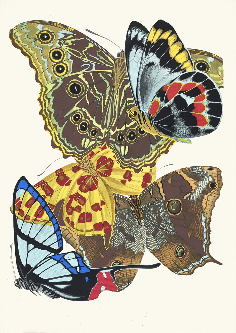 Emile-Allain Séguy - Papillons, Pl. 15