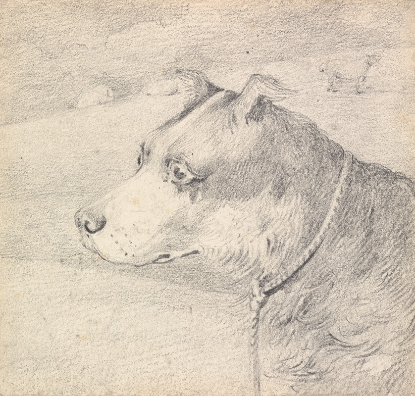 Henry Thomas Alken - Head and Shoulders of a Collie Dog, Wearing a Leash or Tether, Sketchy Sheep in Background