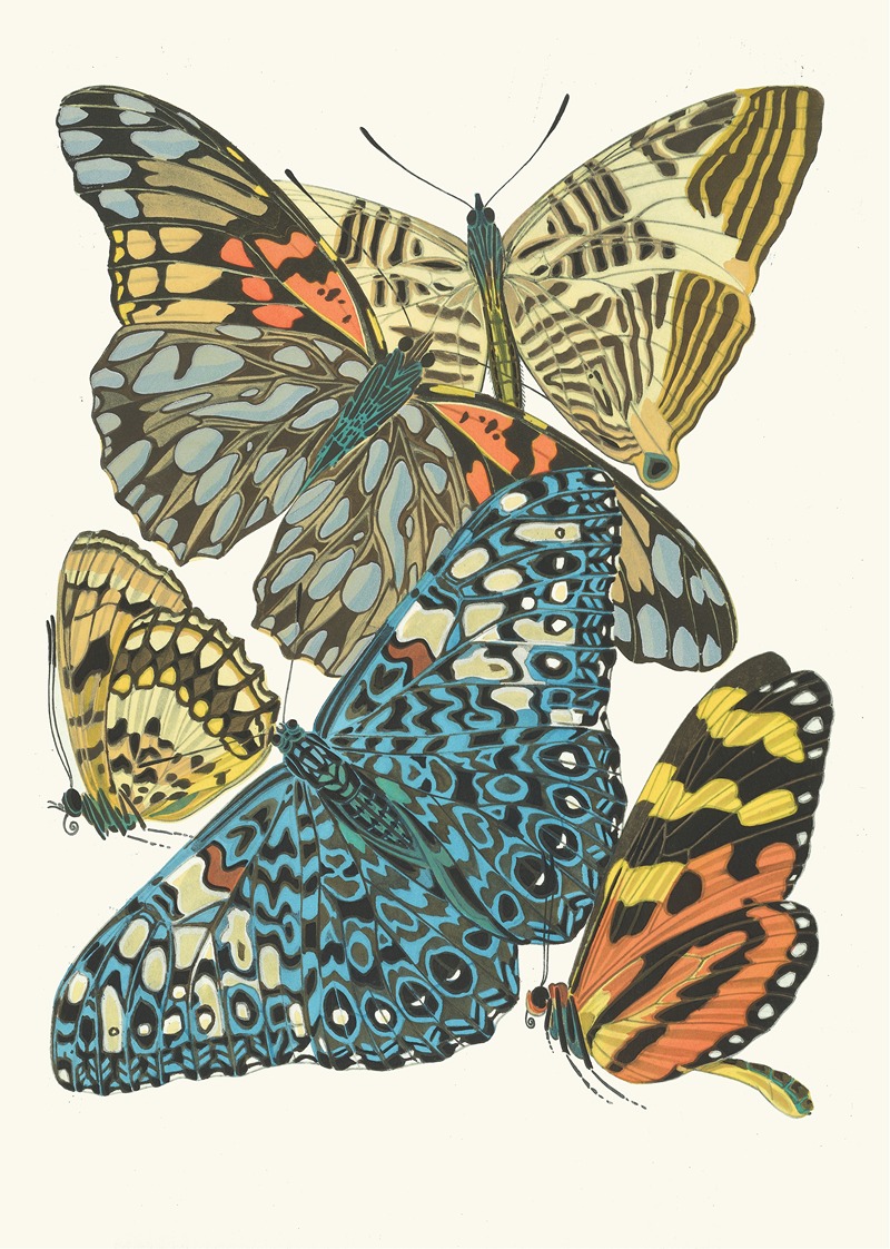 Emile-Allain Séguy - Papillons, Pl. 3