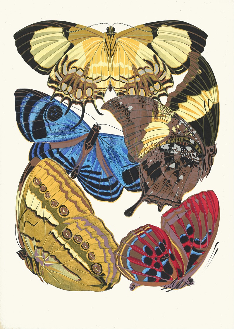 Emile-Allain Séguy - Papillons, Pl. 4