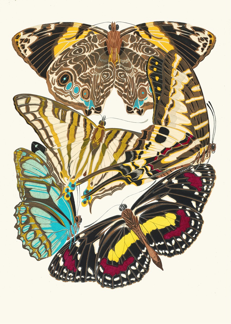 Emile-Allain Séguy - Papillons, Pl. 5