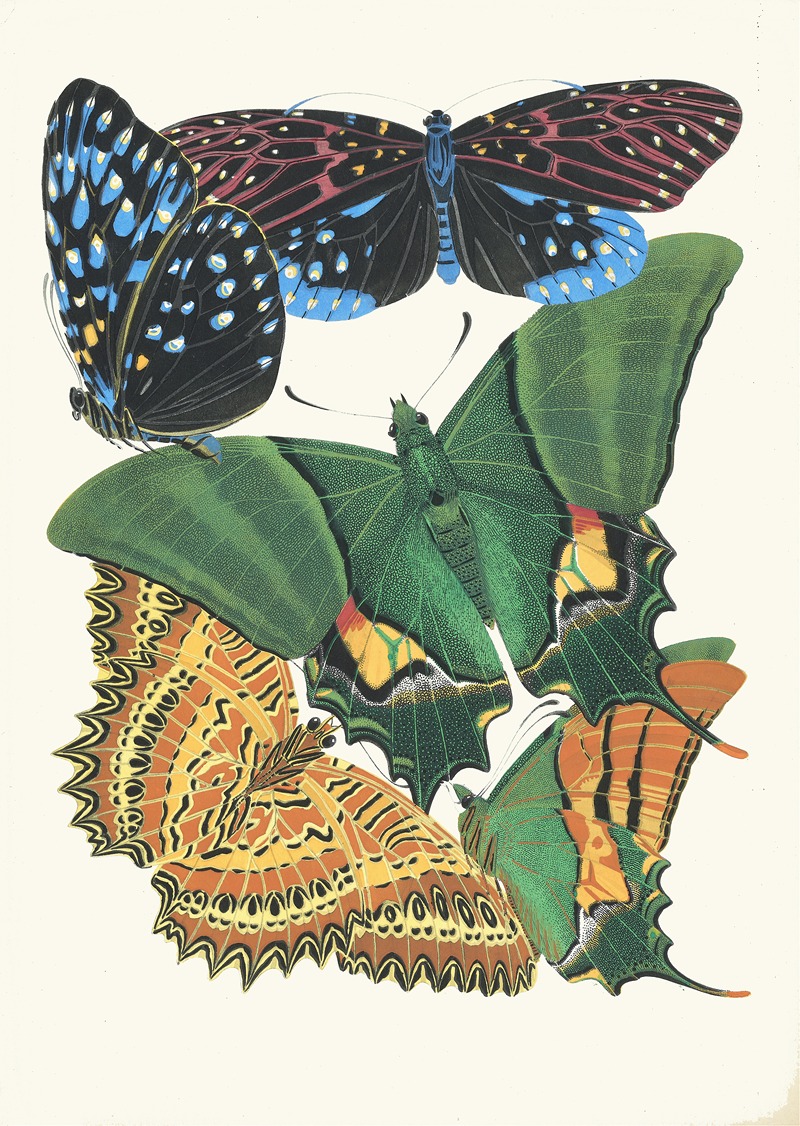 Emile-Allain Séguy - Papillons, Pl. 6