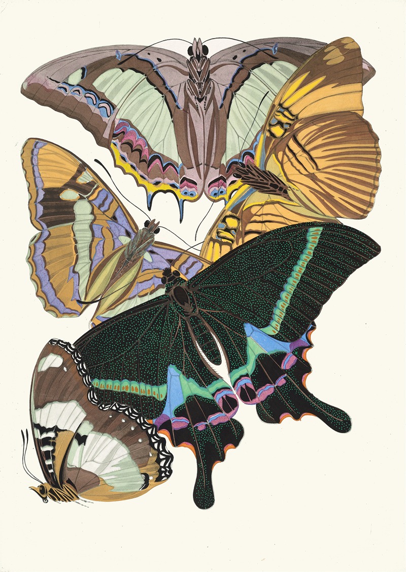 Emile-Allain Séguy - Papillons, Pl. 8
