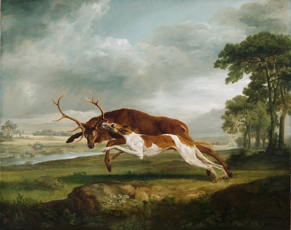 George Stubbs - Hound Coursing a Stag