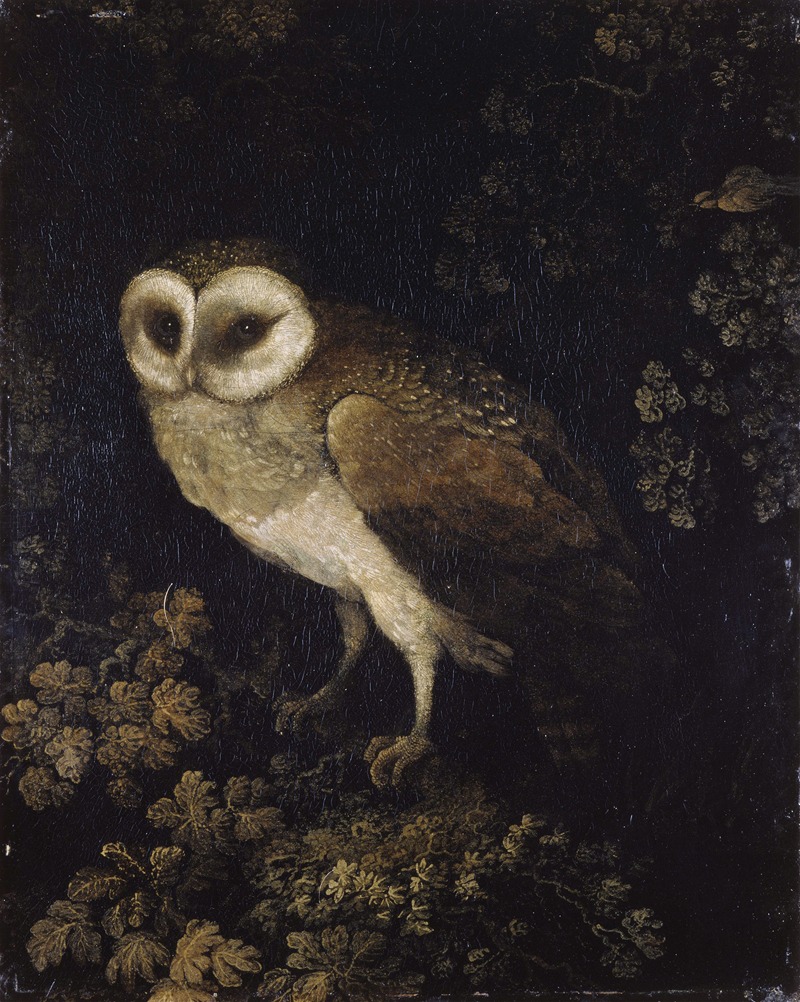 Moses Haughton - An Owl