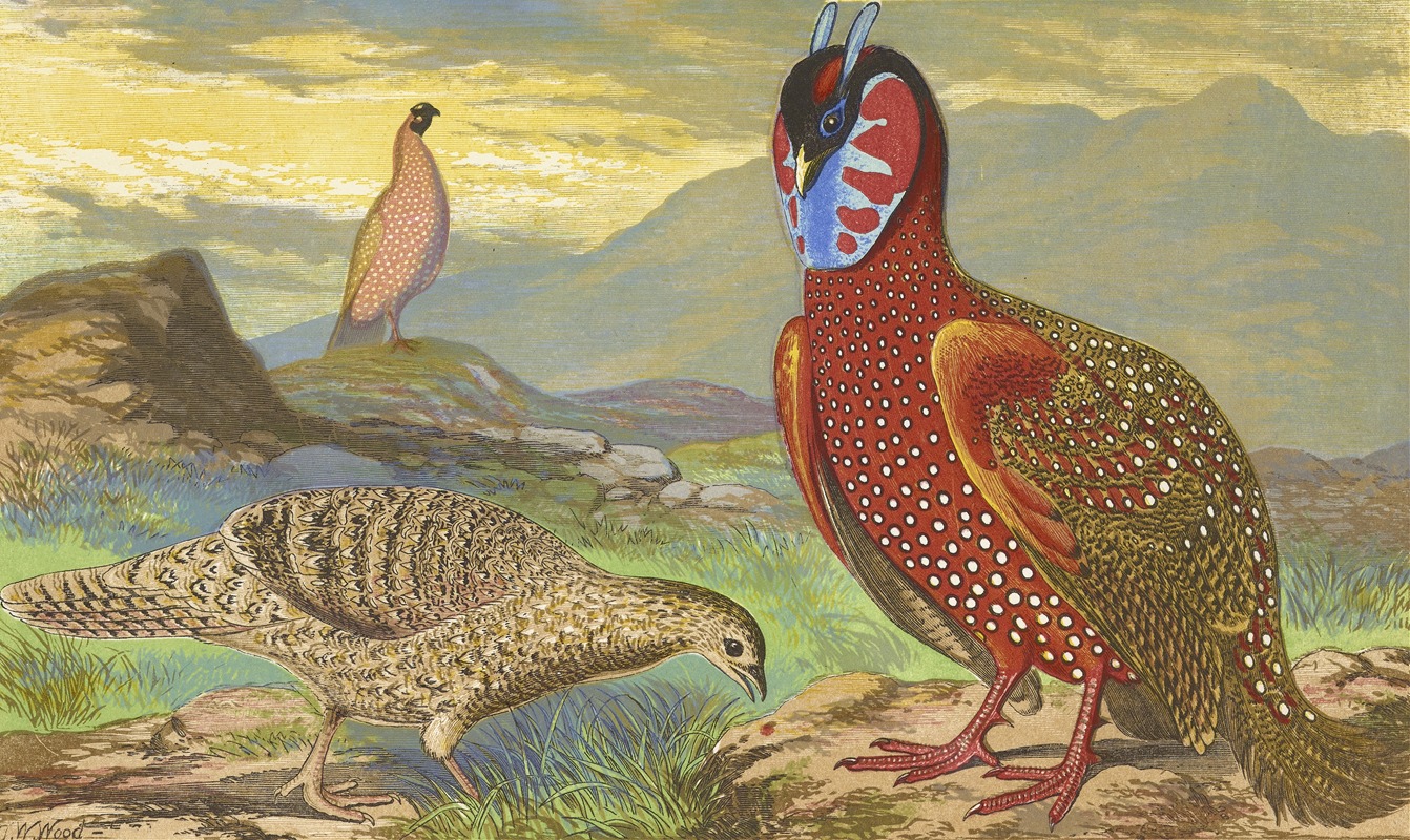 Thomas Waterman Wood - Horned Pheasants