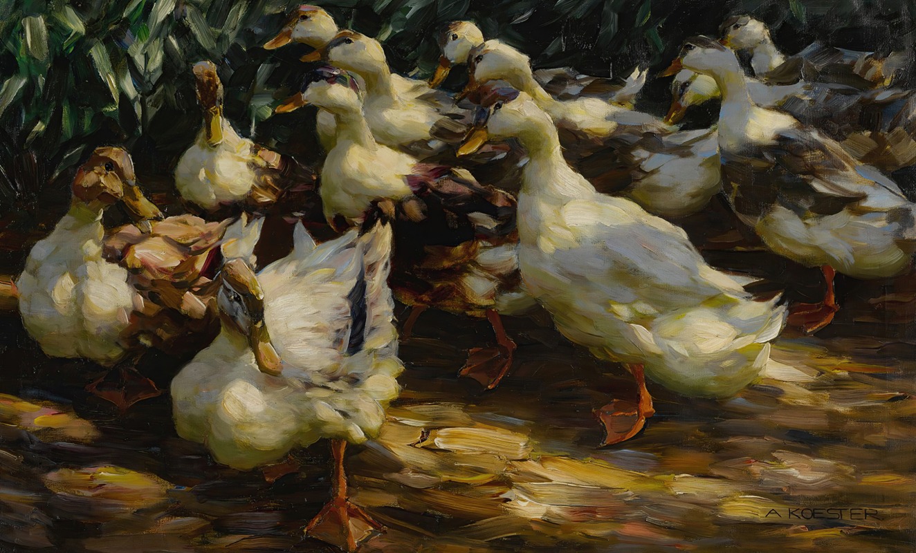 Alexander Koester - Ducks In Sunlight