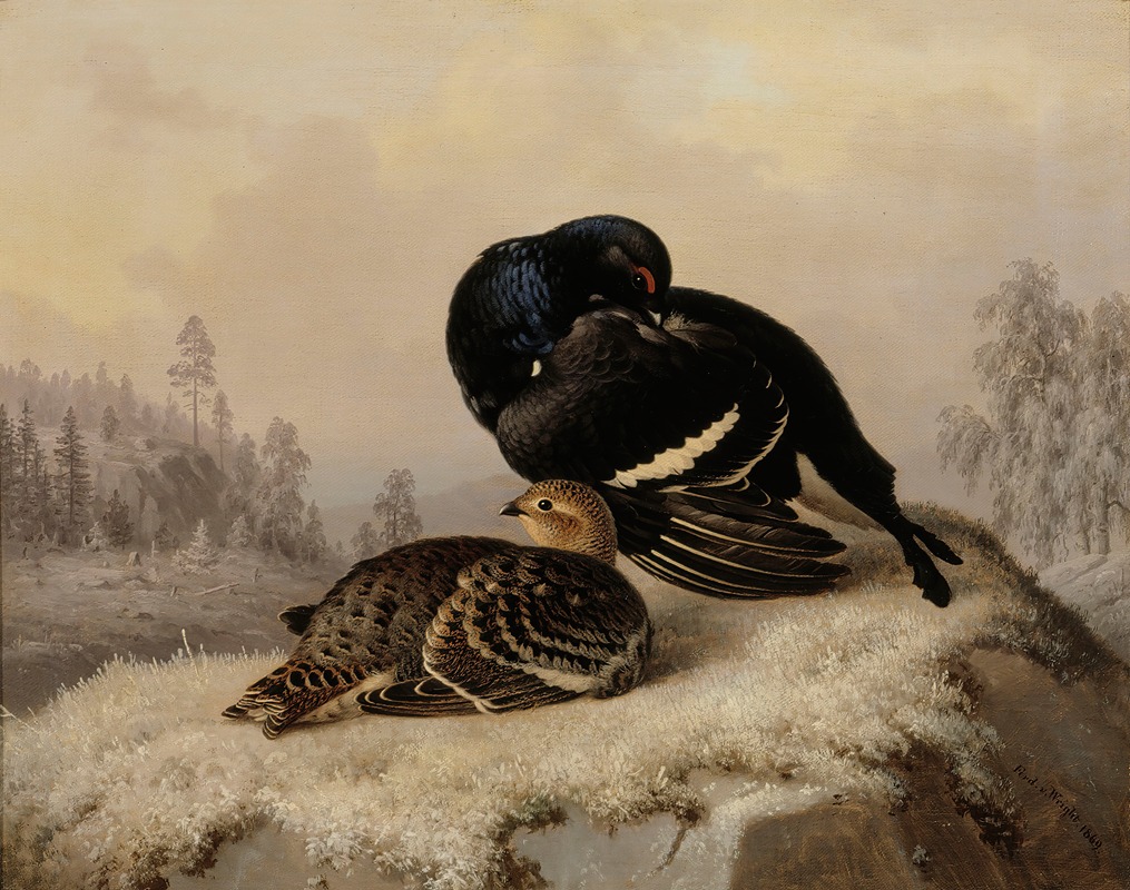 Ferdinand von Wright - Black Grouse, Cock And Hen