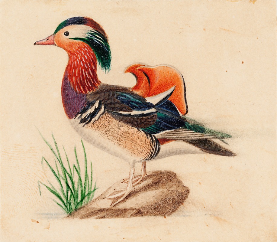 Ferdinand von Wright - Mandarin Duck