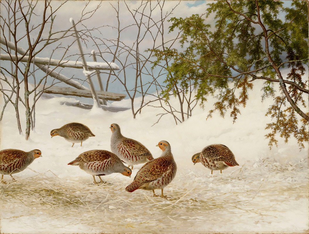 Ferdinand von Wright - Partridges In Snow