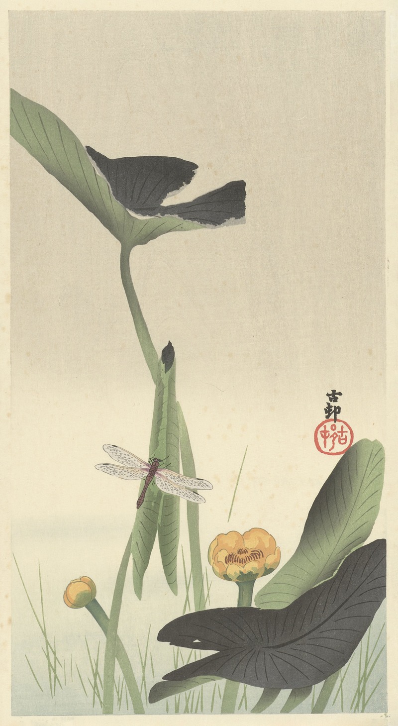 Ohara Koson - Dragonfly and lotus