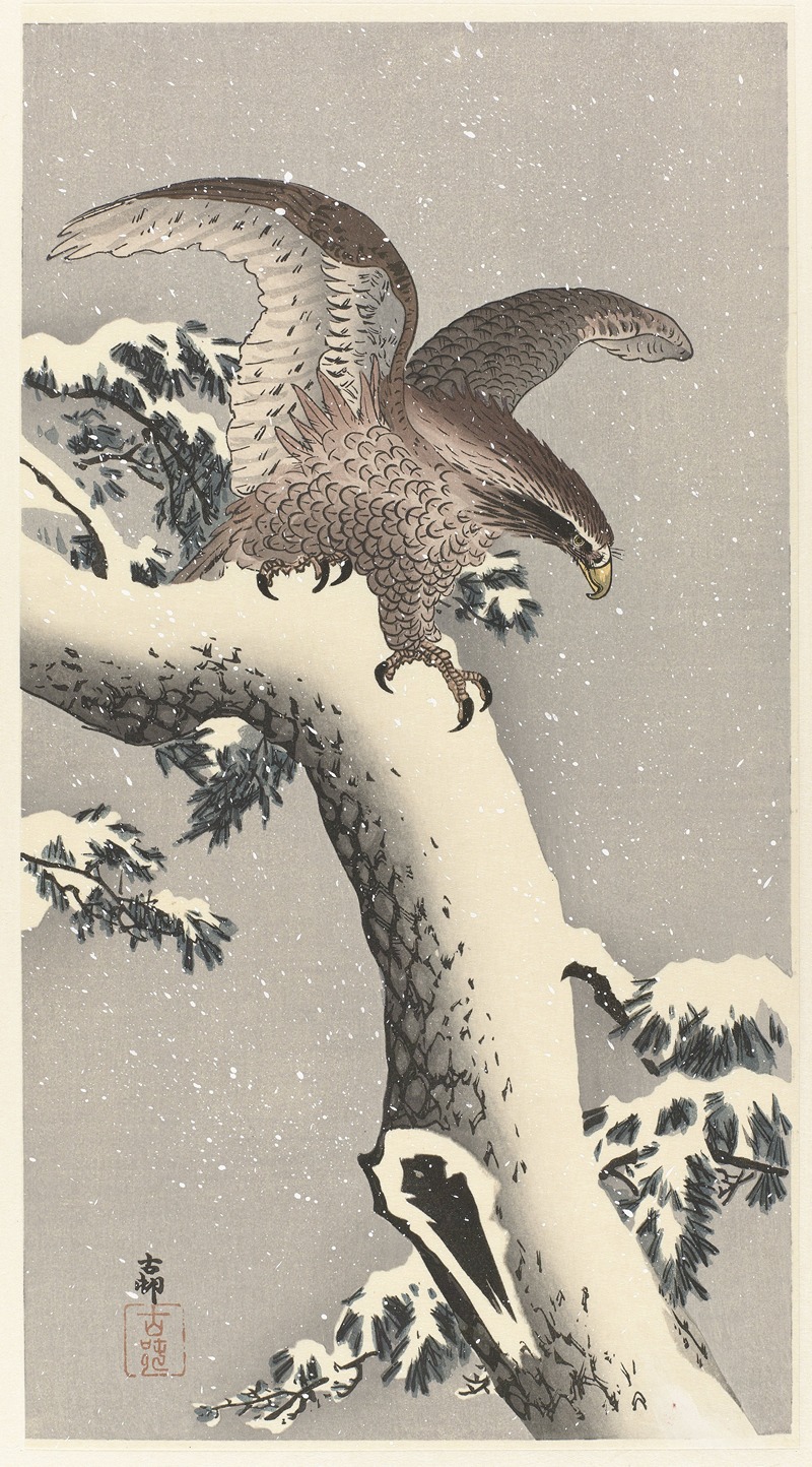 Ohara Koson - Eagle on snowy pine tree