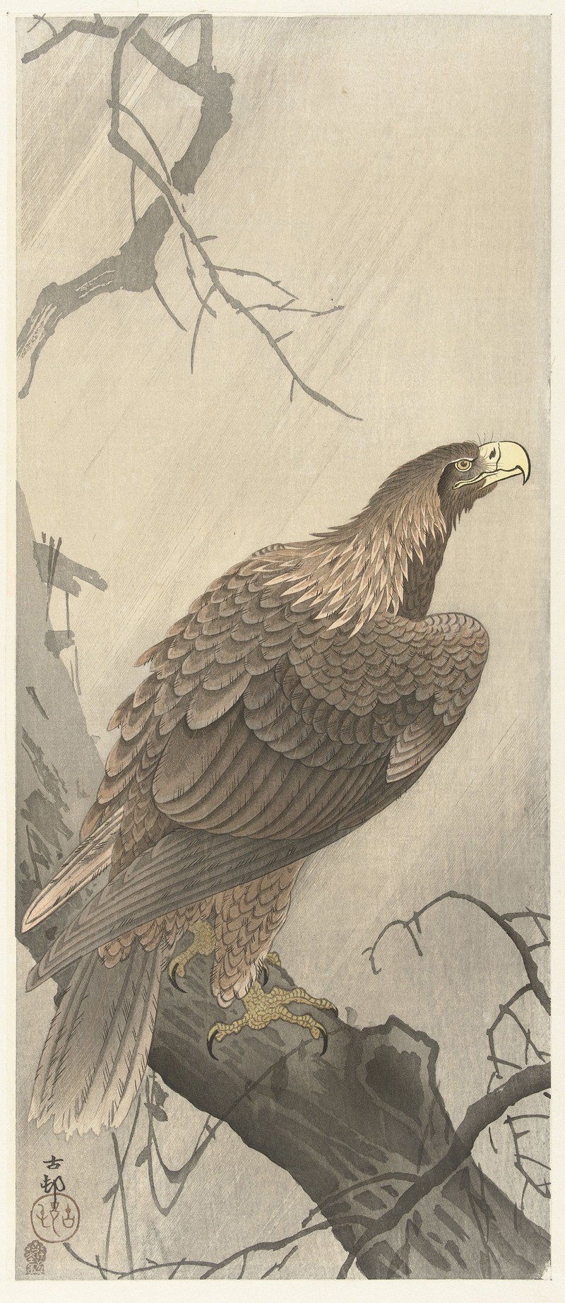 Ohara Koson - Eagle on tree branch