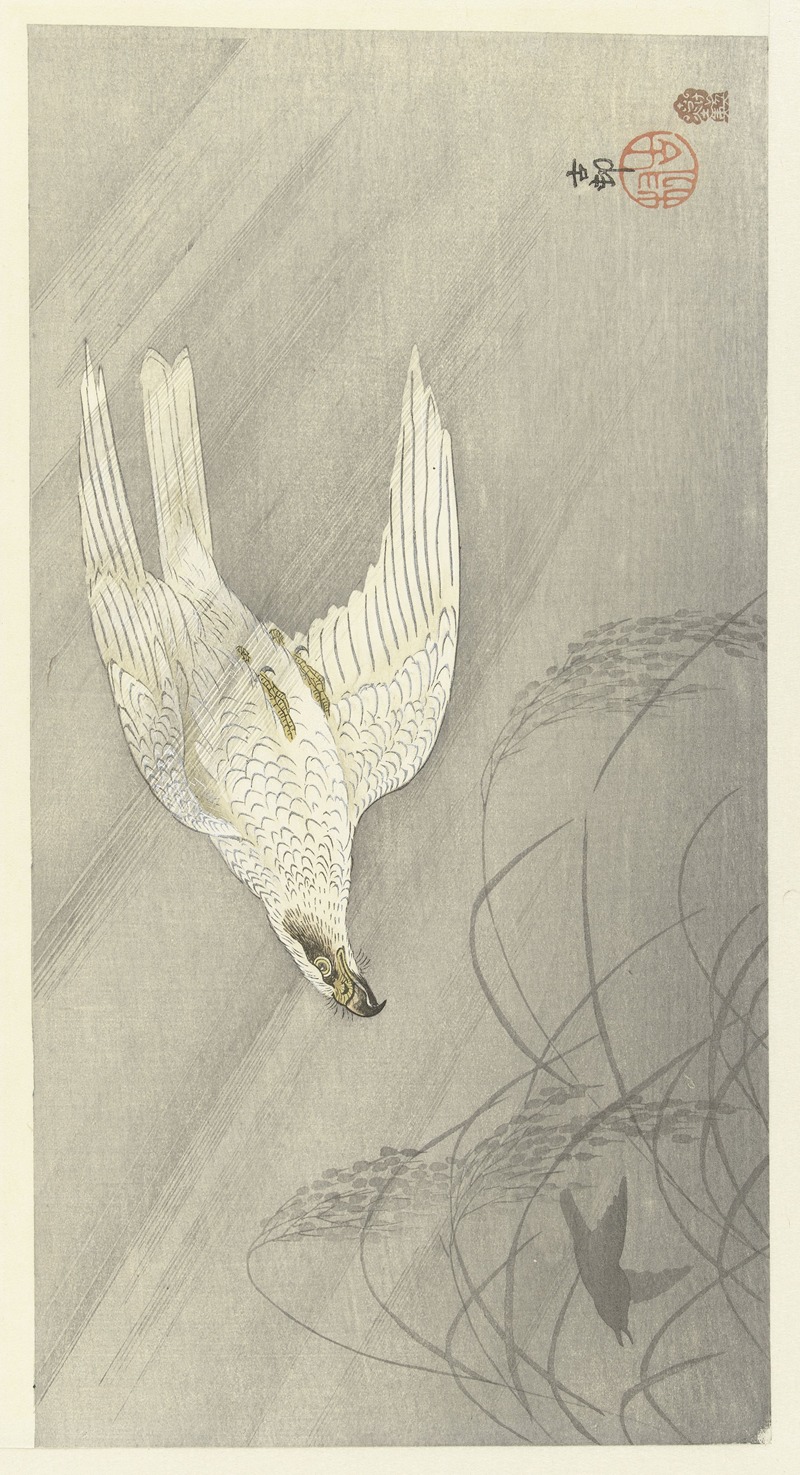 Ohara Koson - Hunting hawk