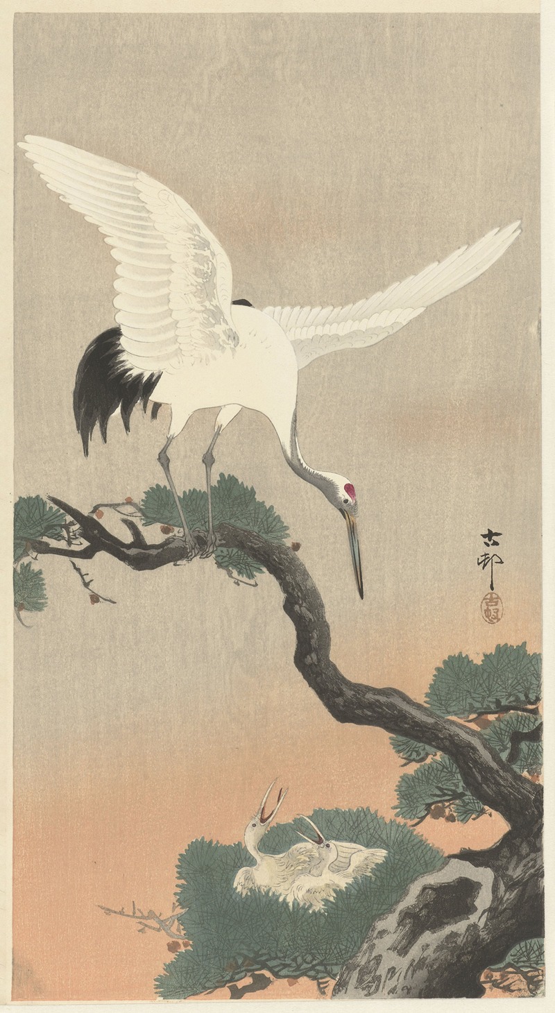 Ohara Koson - Japanese common crane on branch of pine