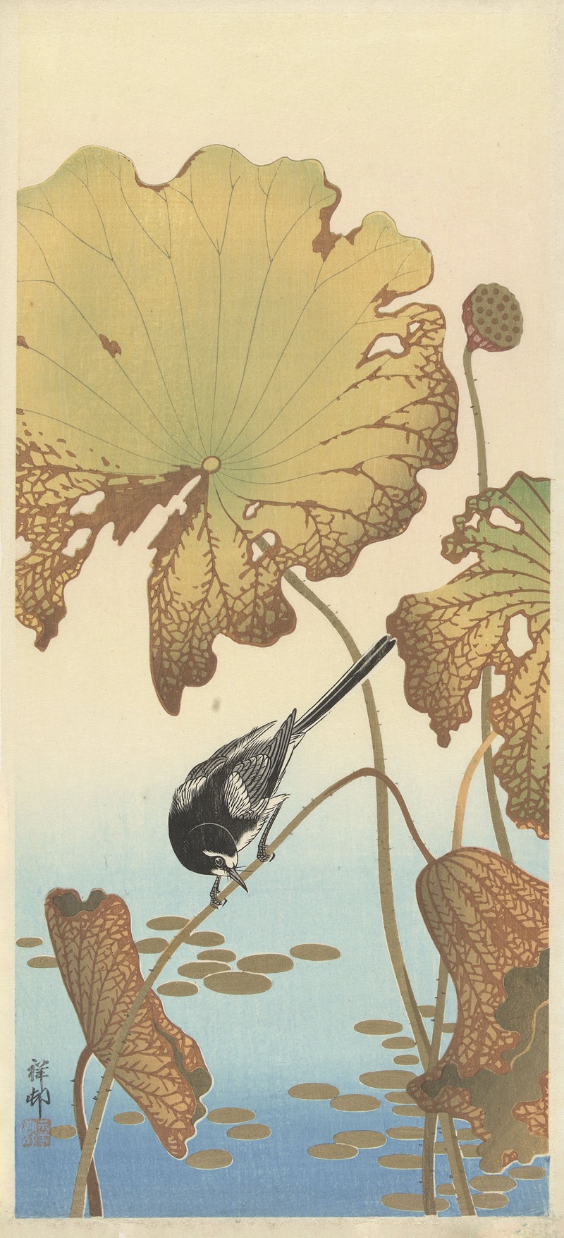 Ohara Koson - Japanese wagtail on lotus plant