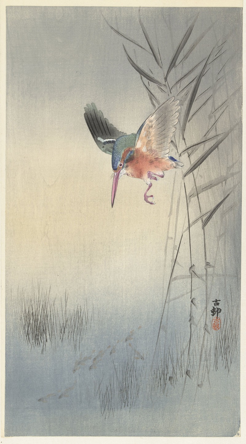 Ohara Koson - Kingfisher hunting for fish