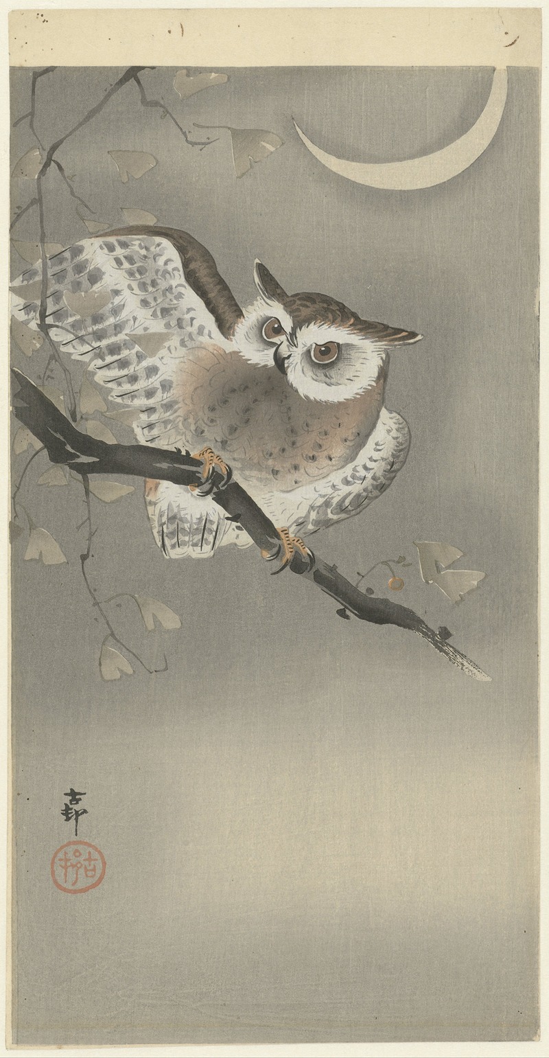 Ohara Koson - Long-eared owl in ginkgo