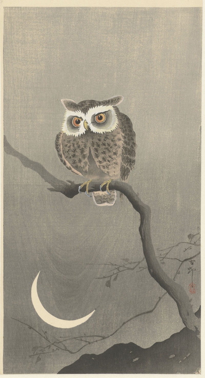 Ohara Koson - Long-eared owl on bare tree branch